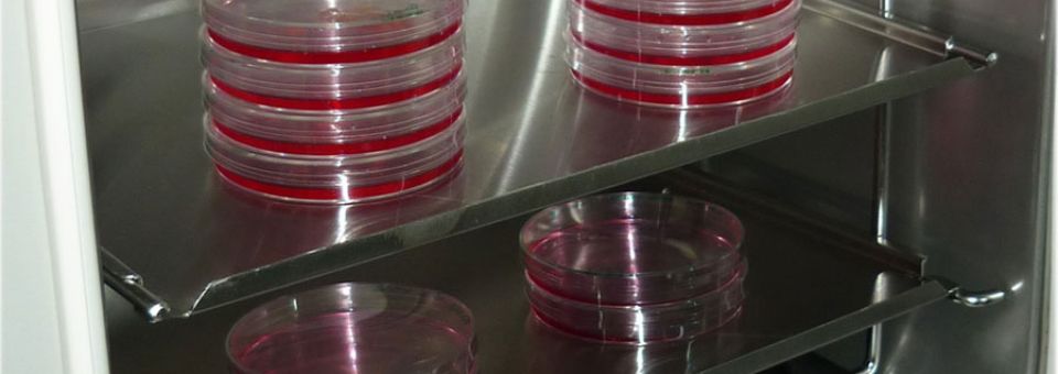 Sekcja Biotechnologii Rozrodu Zwierząt